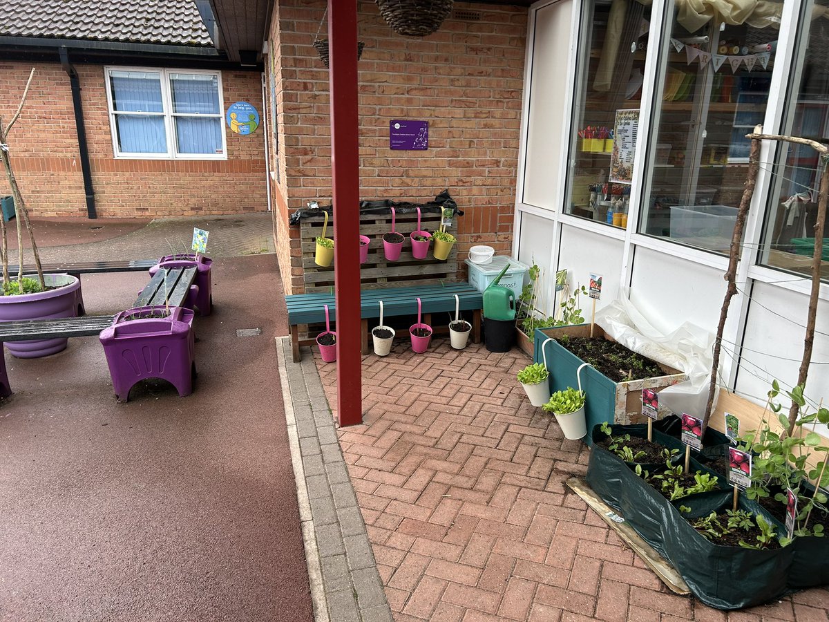 Arkwright Primary School tweet media