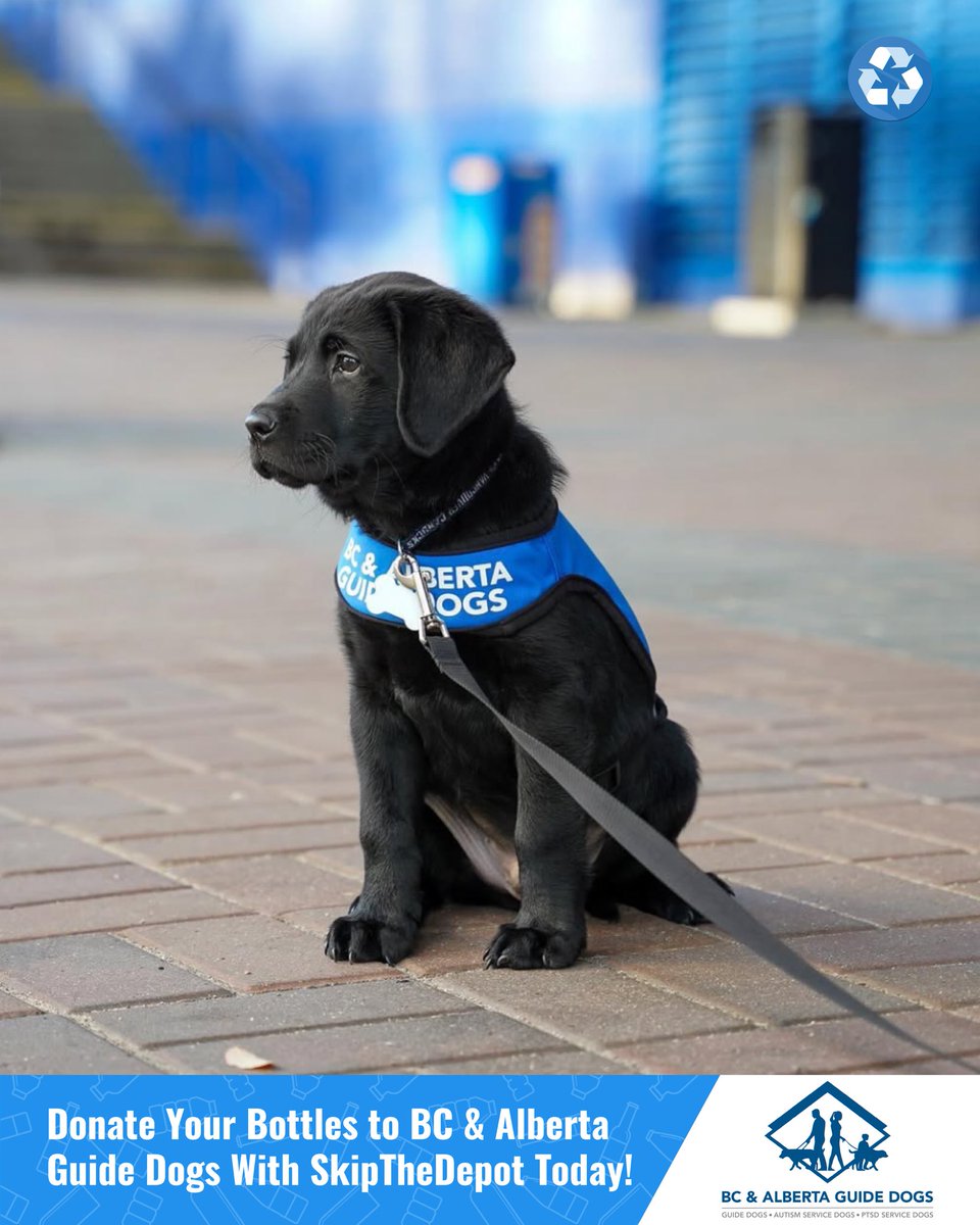 SkipTheDepot (@skipthedepot) on Twitter photo BC & Alberta Guide Dogs is on a mission, and we need YOUR help! ♻️ Partnered with SkipTheDepot, we're turning bottles into a force for good.
Book a bottle donation pickup: app.skipthedepot.com/albertaguidedog
#bottledepot #bottledepotnearme #bcandalbertaguidedogs <a href="/bcguidedogs/">BC & Alberta Guide Dogs</a> #bcguidedogs BC & Alberta Guide Dogs is on a mission, and we need YOUR help! ♻️ Partnered with SkipTheDepot, we're turning bottles into a force for good.
Book a bottle donation pickup: app.skipthedepot.com/albertaguidedog
#bottledepot #bottledepotnearme #bcandalbertaguidedogs <a href="/bcguidedogs/">BC & Alberta Guide Dogs</a> #bcguidedogs
