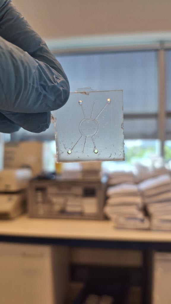 Maria Antònia Forteza Genestra tweet media