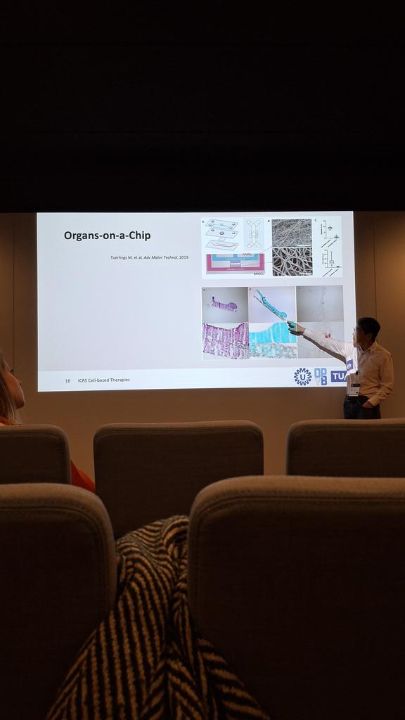 Maria Antònia Forteza Genestra tweet media