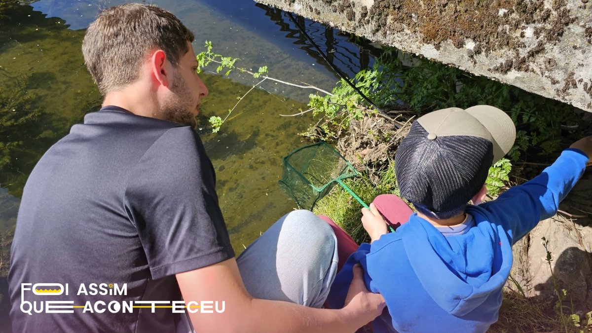 Noite Europeia dos Investigadores tweet media