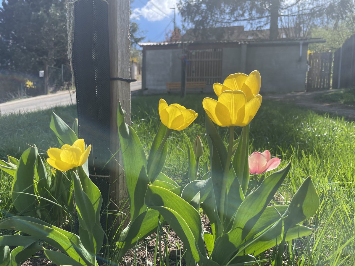 Michal Berlinger tweet media