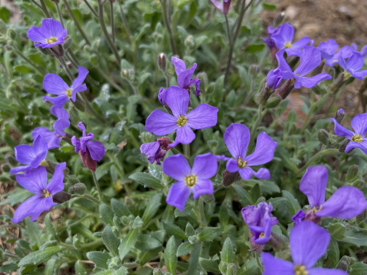 Michal Berlinger tweet media