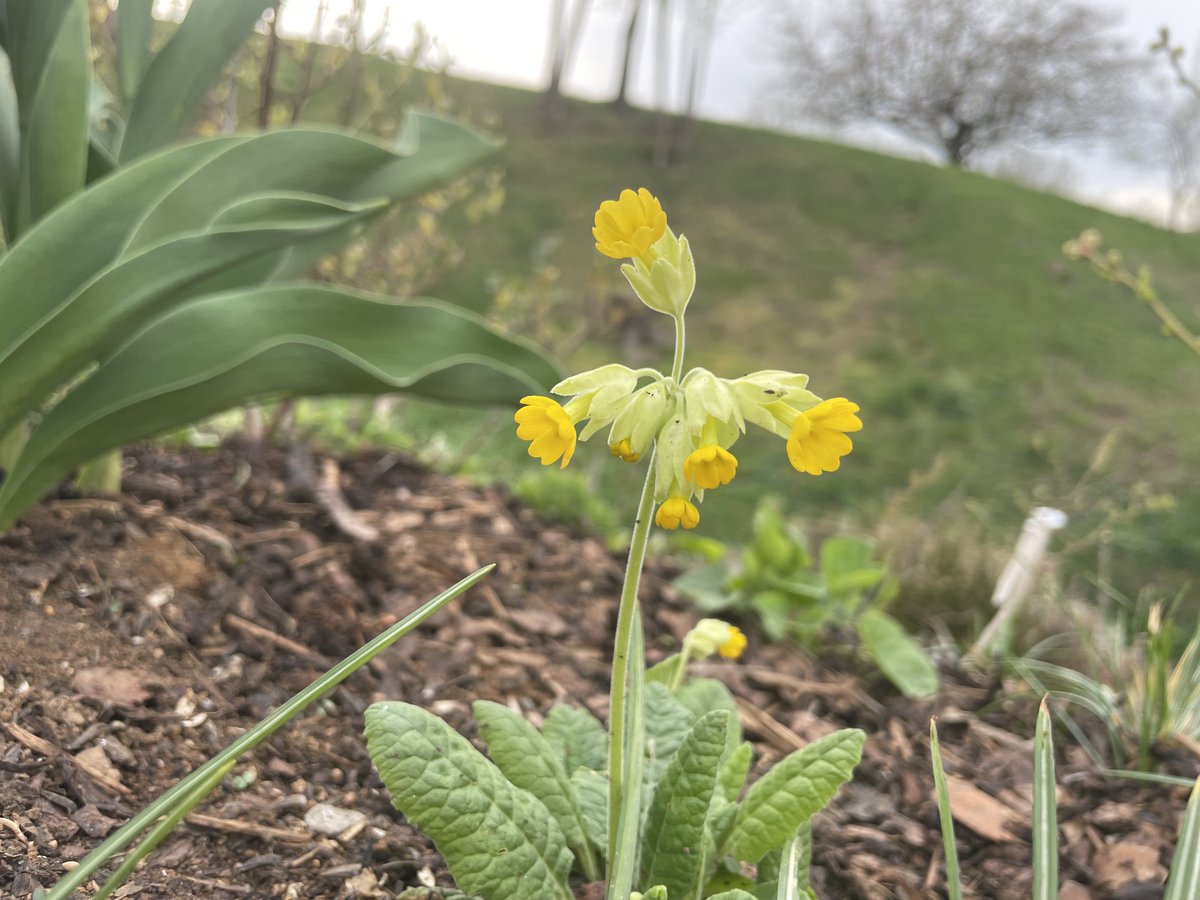 Michal Berlinger tweet media