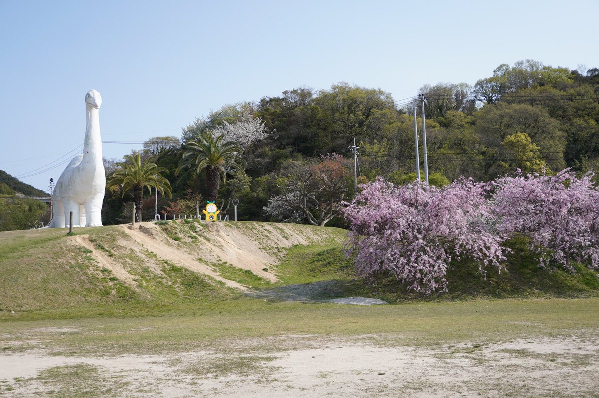 uyu_pg92's tweet photo. 因島3日間ほんとうに楽しかったな...あと初めてミラーレスのカメラをレンタルしてお供に旅行したのもよかった📷 https://t.co/ai2BoGsk08