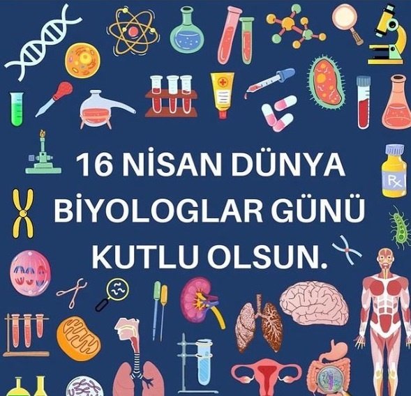 Bugün günümüz varmis