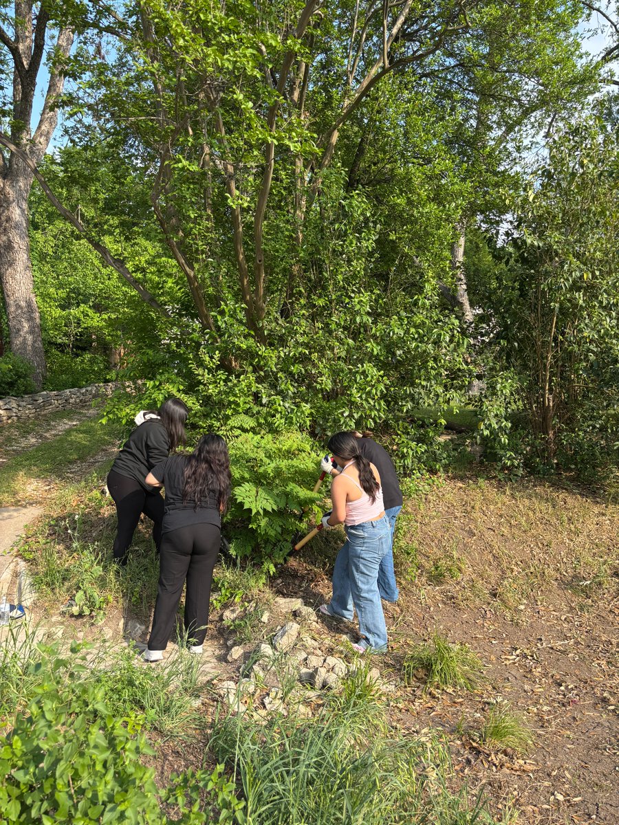 We’re so thankful to continue our partnership with the Austin Youth River Watch at the Woodview Ave and Shoal Creek Blvd rain garden! The river watchers did an amazing job pulling out weeds and invasive species while learning more about rain gardens and their functions!