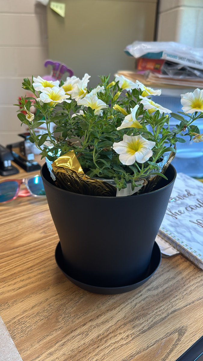 <a href="/brock_road/">Brock Road Elementary School</a> Thanks to our PTA!  Lovely surprise 🌼
