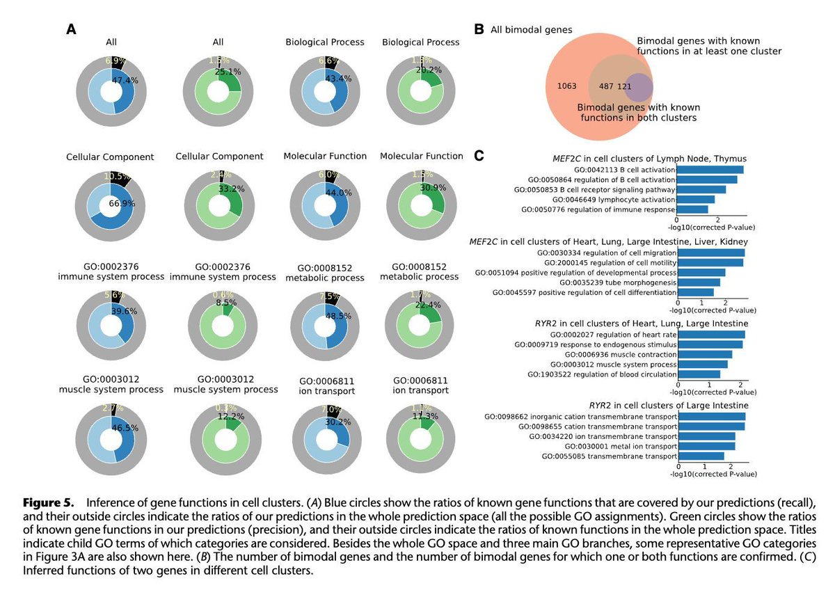 A unified analysis of atlas single-cell data genome.cshlp.org/content/early/… 🧬🖥️🧪 github.com/chenhcs/GIANT