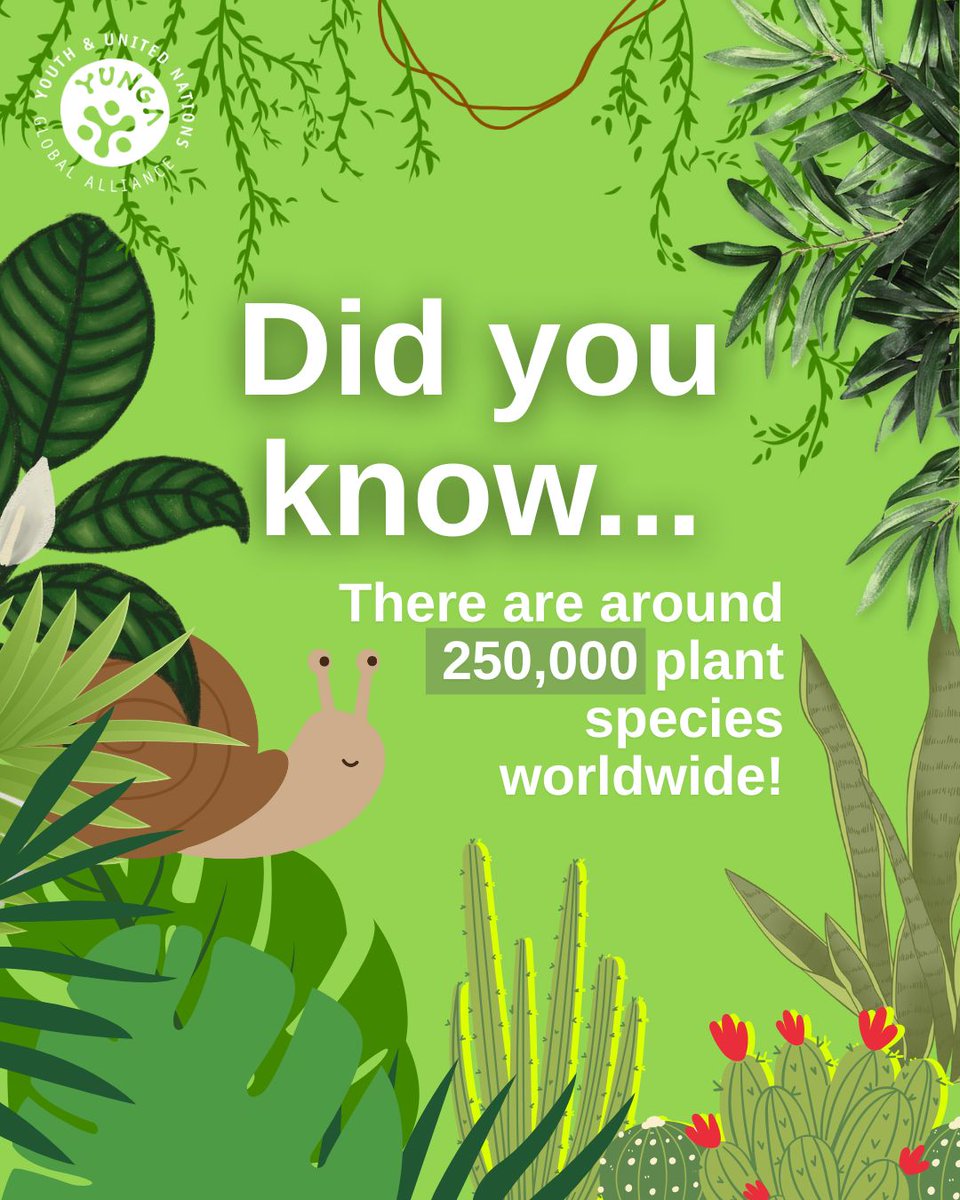 Did you know there are approximately 250,000 #plant species in our world?🌱

And around 5,000 plants are used for food and 25% of prescribed medicines derive from them!🌟 

Make sure to check out our educational resources in the link in bio for more fun facts!🍃