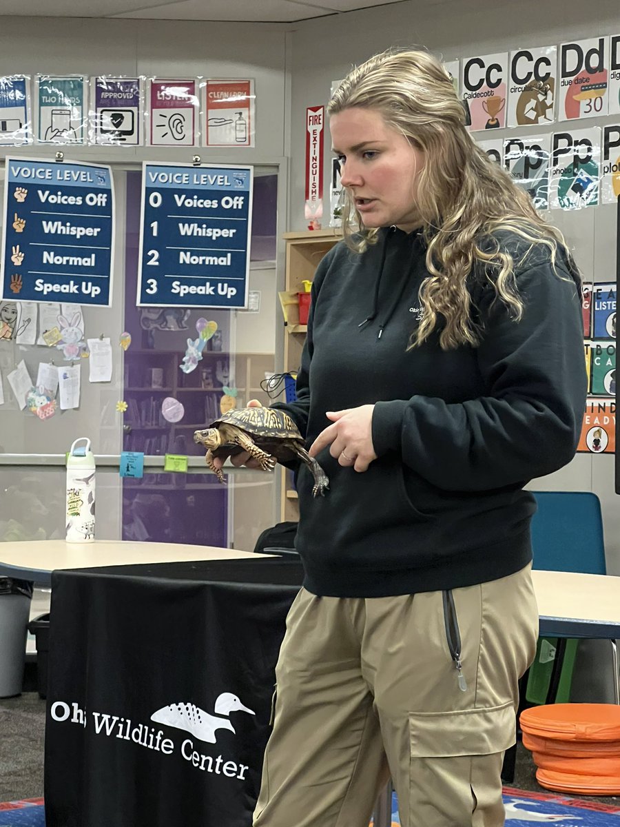 Kindergarten welcomed 4 animal ambassadors from the Ohio Wildlife Center yesterday! We got to learn about Ohio native animals and how they survive in our neighborhoods! #ItsWorthIt #ParkSharks