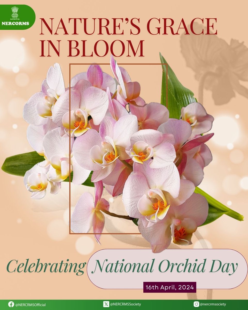NERCRMSociety's tweet image. Grace in every petal, wild at heart — today we celebrate the fierce elegance of orchids.
Happy National Orchid Day to nature’s most exquisite showstoppers!

#NationalOrchidDay #FloralElegance #NatureInStyle
