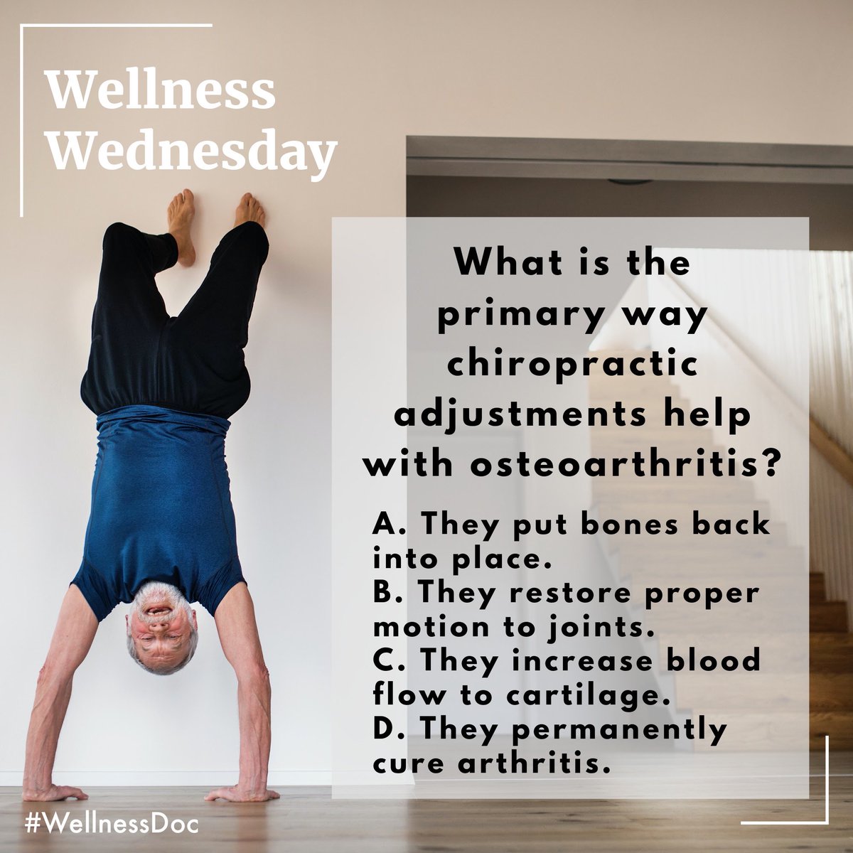 WellnessDoc2's tweet photo. This Week's Q &amp; A with Dr. Darrell, we look at how Chiropractic adjustments can help Osteoarthritis.

One of the most common myths about Chiropractic Adjustments is that they "put a bone in place….. click blog 👇🏼 

WellnessDoc Blog —> https://t.co/CXdwTojcxd https://t.co/dfNOJGrxr5