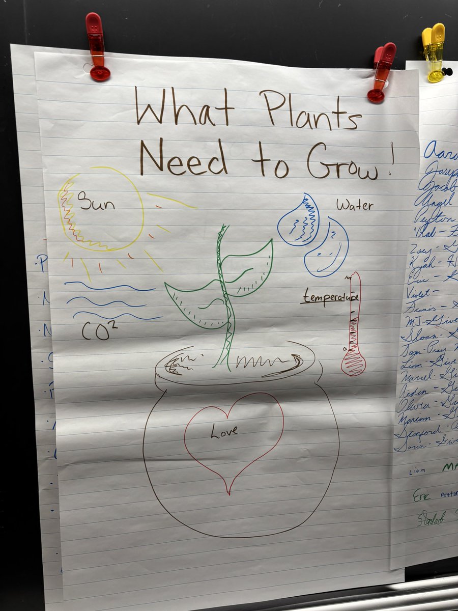StAnneGators's tweet photo. The grade 3/4’s are learning what plants need to survive and grow so they can grow their own sunflowers in class! 🌻 https://t.co/Kk0T46CTsB