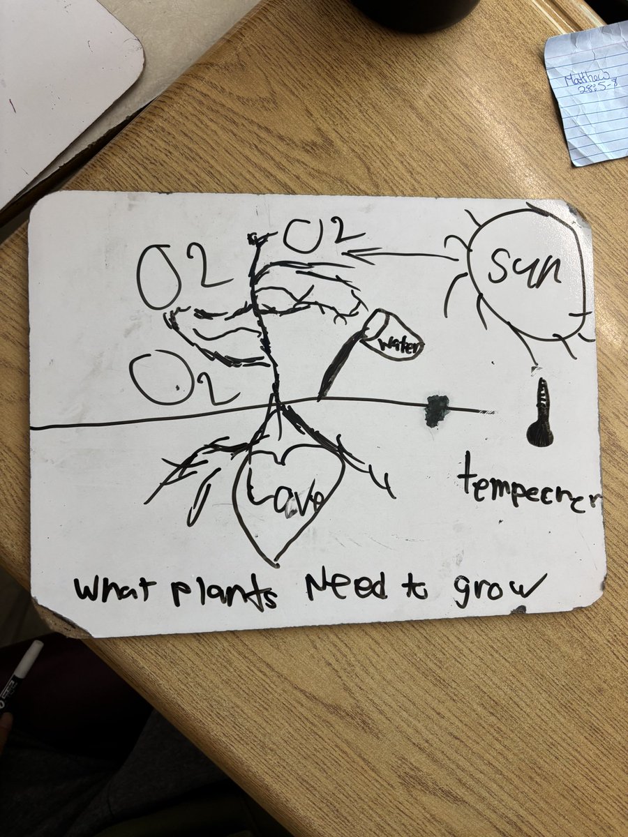 StAnneGators's tweet photo. The grade 3/4’s are learning what plants need to survive and grow so they can grow their own sunflowers in class! 🌻 https://t.co/Kk0T46CTsB
