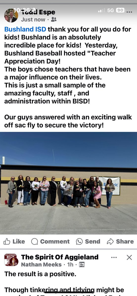 Bushland Falcon Baseball tweet media