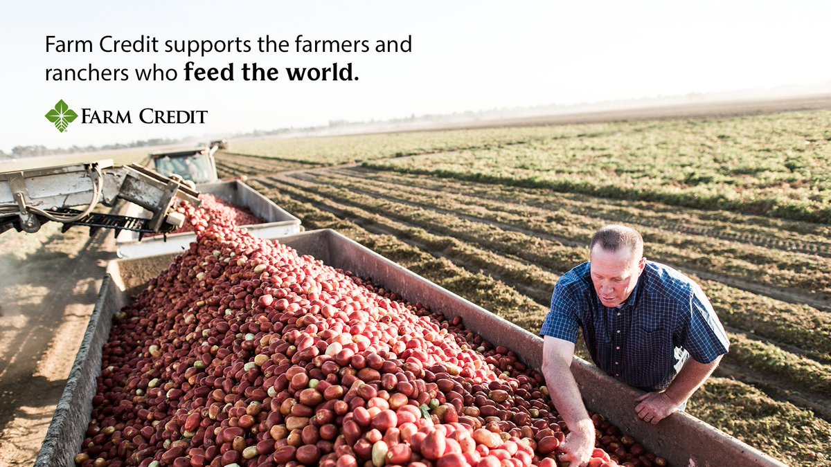 agvantis's tweet photo. #AgVantis #AgVantisStrong #WereInItForAg #AgVantis20. https://t.co/MZuK0y5QpA