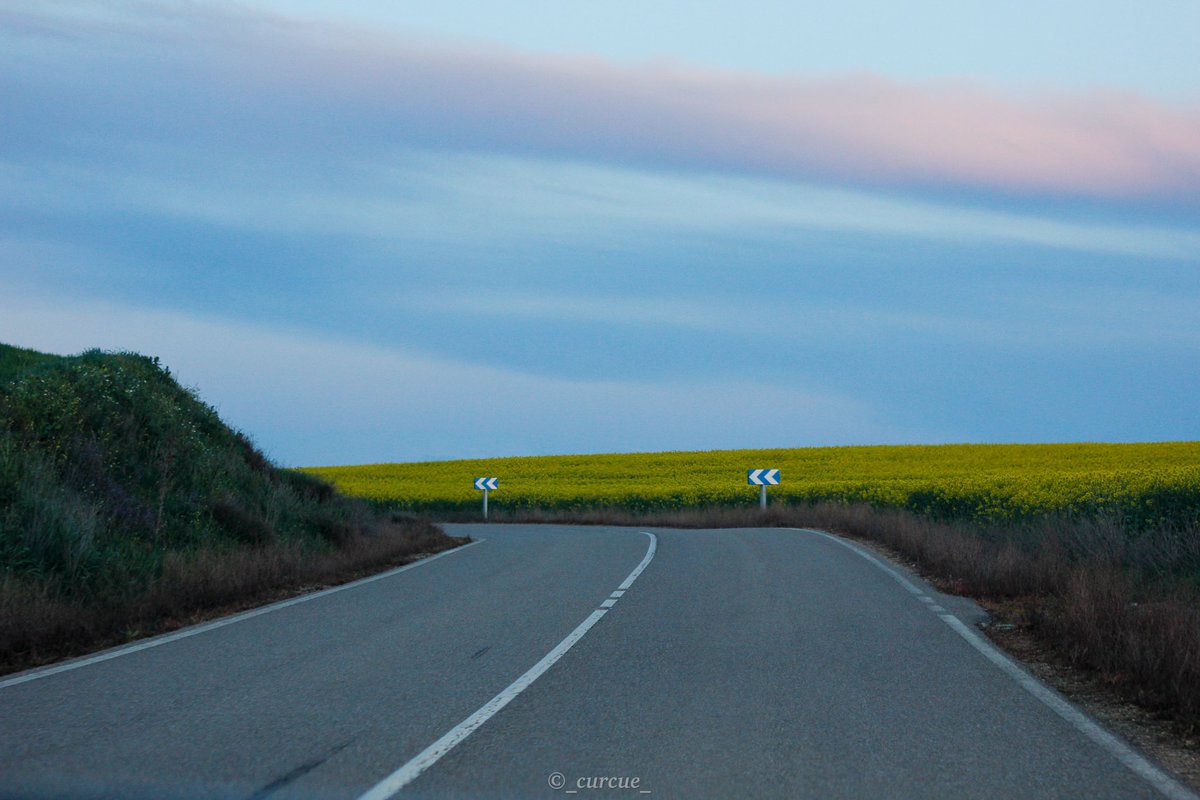 _curcue_'s tweet photo. Acompañadme a dar un paseo por las carreteras secundarias que encuentras a lo largo de la comarca de Tierra de Campos, aprovechando las últimas luces de un día lluvioso de abril https://t.co/aNHLVZmlSj