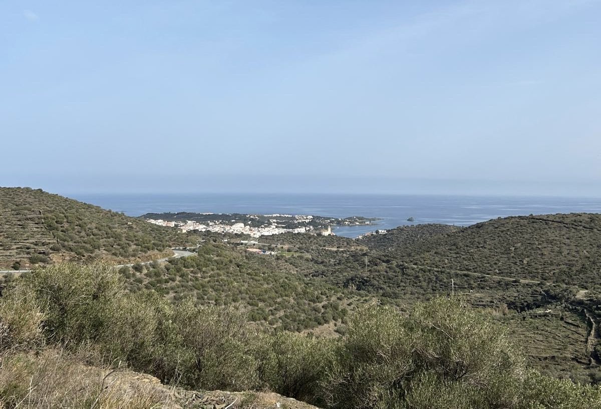 🔵| "La Federació <a href="/ecologistescat/">Ecologistes de Catalunya</a>  denuncia un greu retrocés ambiental amb la nova proposta de Decret Llei per l'ANACAT"

👉Llegiu la notícia: naturalistesgirona.org/ca/noticies/la…