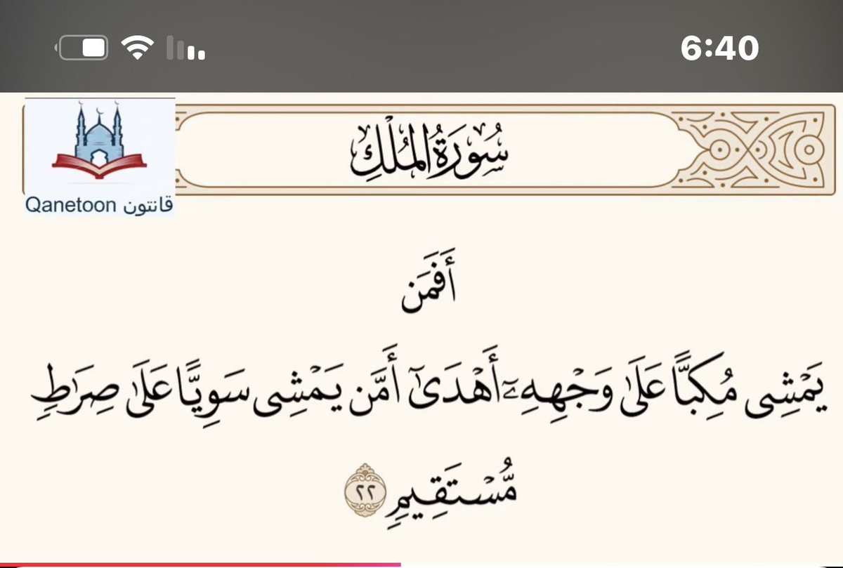 أبو عادل tweet media