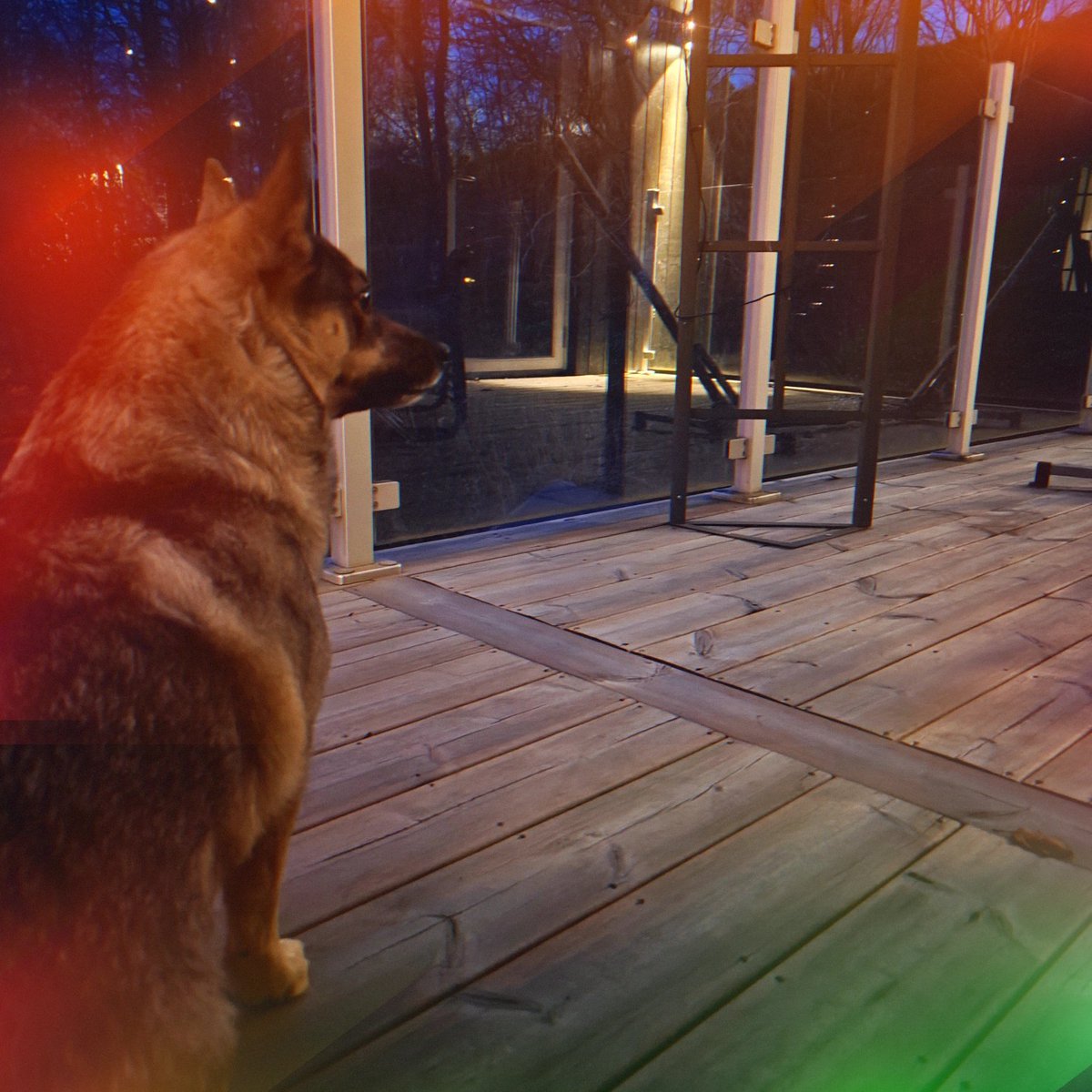 Ninalyset tweet media