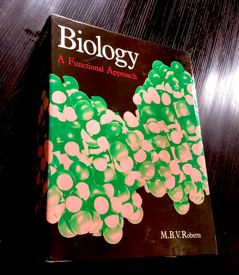 I studied this book everyday for about 5 years as a teenager. It was like my Bible. What book have you read more than any other?