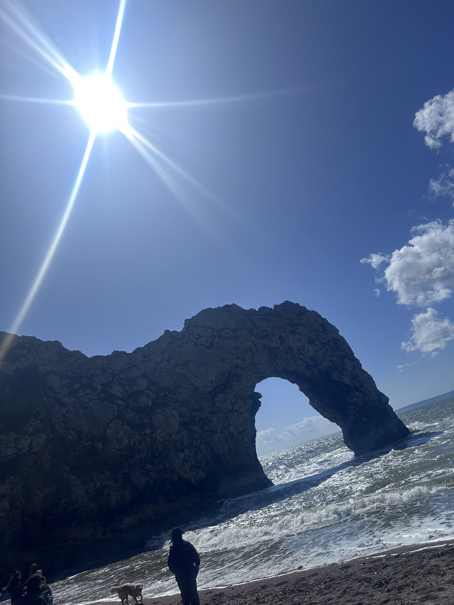 Beth Rowett tweet media