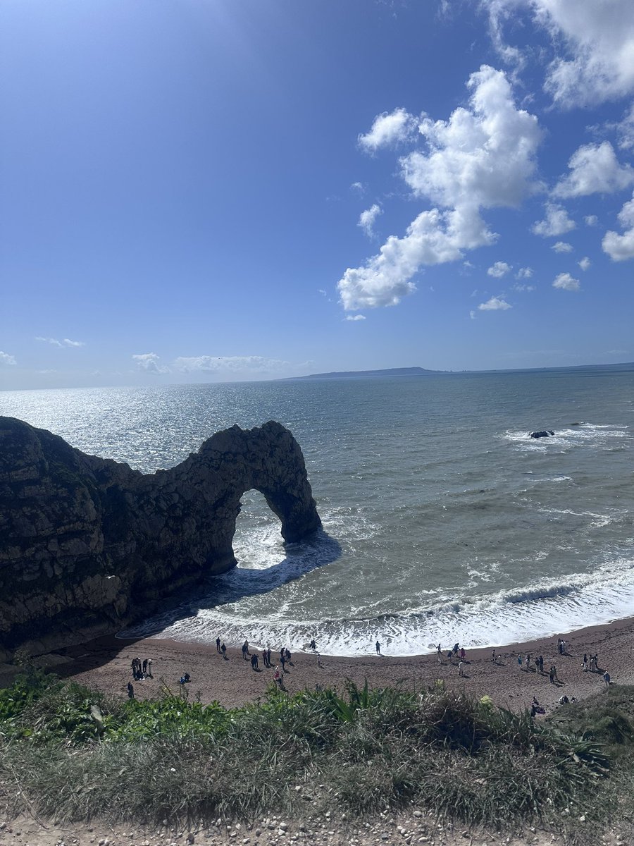 Beth Rowett tweet media