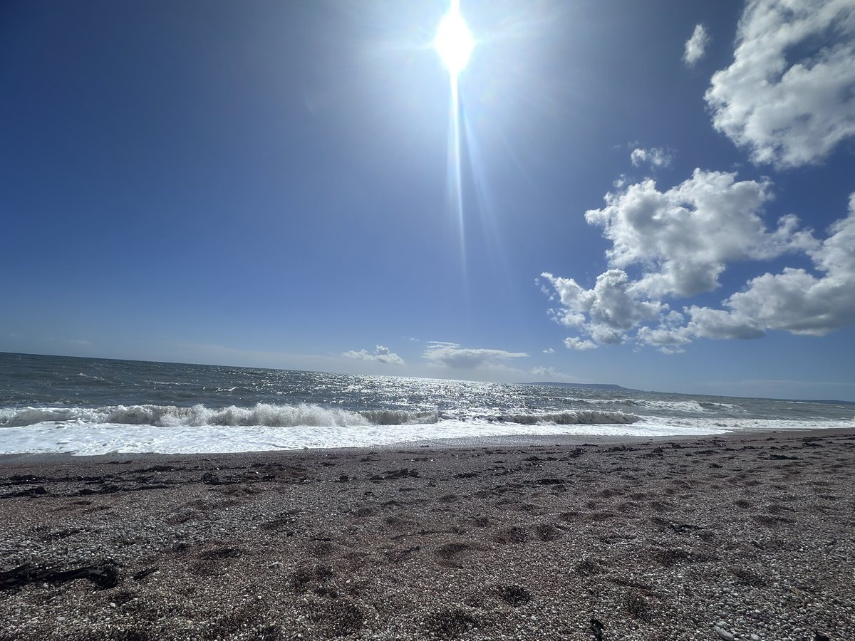 Beth Rowett tweet media