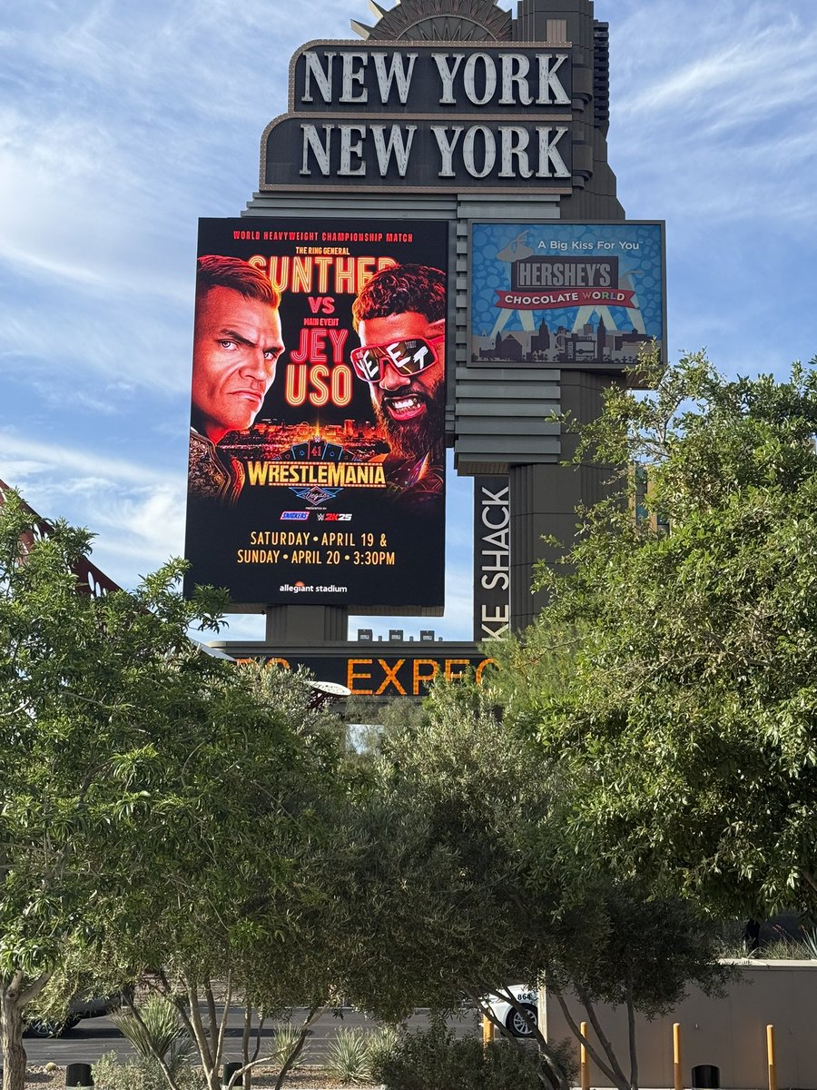 MVP Travel tweet media