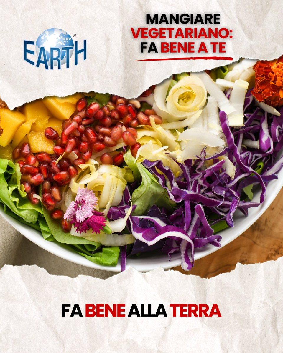EARTHass's tweet photo. Scegliere una dieta vegetariana fa bene a te e al pianeta.
Riduce malattie
Taglia le emissioni
Protegge gli animali
Salva acqua e foreste
Un gesto quotidiano, una rivoluzione silenziosa.
#earthodv #dietetavegetariana #sostenibilità #salute #ambiente #noallevamentointensivo https://t.co/0AWD8Hapvr