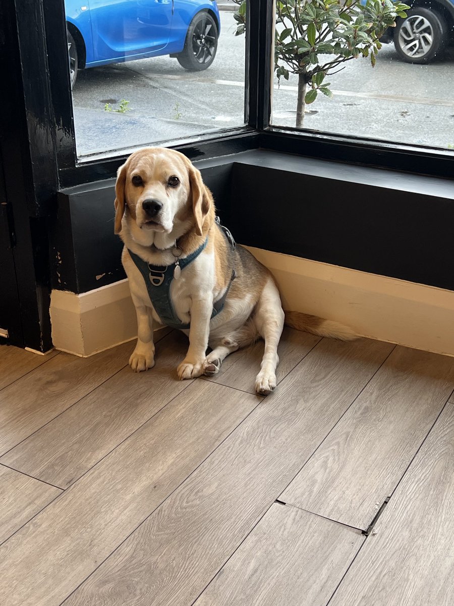 Linda Weston tweet media