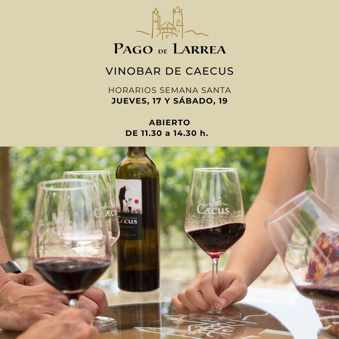 PagoDeLarrea's tweet photo. Esta Semana Santa os esperamos en el vinobar de Caecus 🍷
📍 Elciego
🗓️ Jueves y sábado
🕦 11:30h a 14:30h
☀️Si el sol acompaña, brindamos a pie de viña. Y si no, ¡el vino nos espera dentro!
#Caecus #Elciego #SemanaSanta https://t.co/spfDVQJaXV
