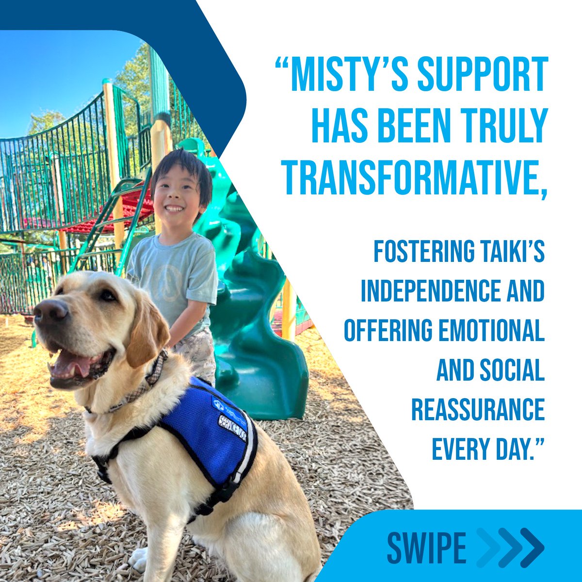 bcguidedogs's tweet photo. During Autism Awareness Month, weβre shining a light on how Autism Service Dogs support children in meaningful ways. ππΎ
#AutismAwarenessMonth #AutismServiceDogs #BCAGD #EmpowerIndependence #ServiceDogs https://t.co/pNHrkkLQvZ