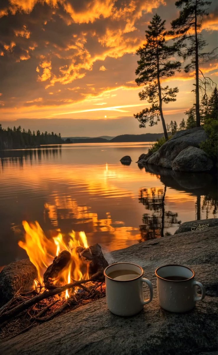 TLeoni311's tweet image. Good evening 💫 🧡