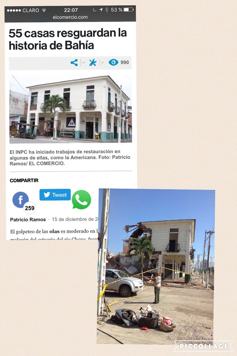 Golfo Golfo Charli tweet media