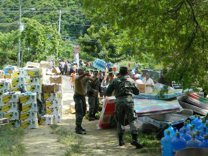 Golfo Golfo Charli tweet media