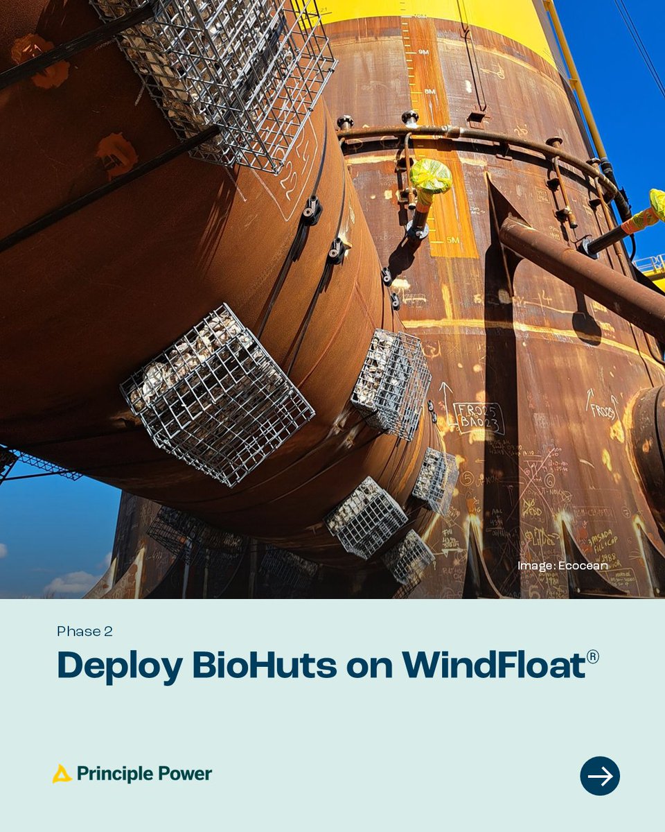 Principle Power tweet media