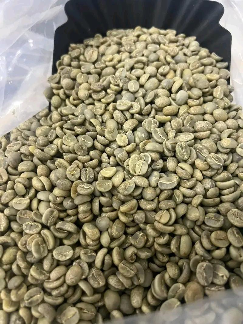 ByarugabaRemi's tweet photo. Uganda is endowed with the best coffee in the world! Planning to visit this Easter? Don’t forget to taste @BiraraCoffee — pure, organic, and proudly local.
#TellYourStoryUG #POATE25 #ExploreUganda https://t.co/oGKgZhNcM7