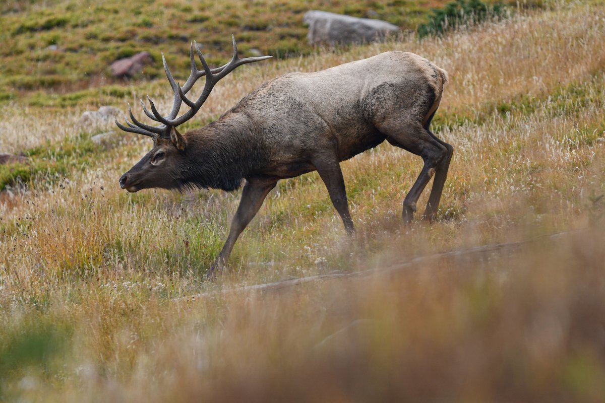 It’s our birthday! 🎂🏔️We’re turning 128 today, and no, we still don’t know what to do when people sing to us. As a fun little celebration in the place of any songs, here’s a few highlights from throughout the years!
