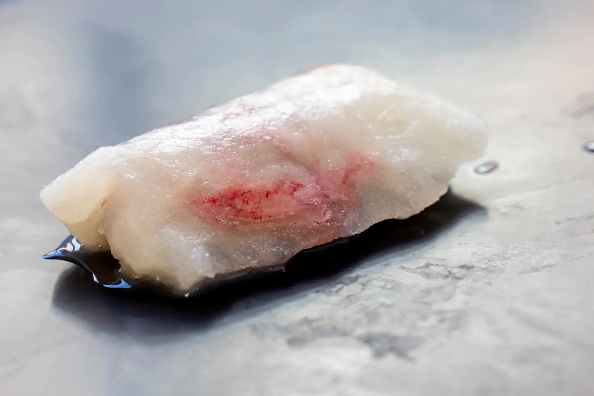 UMN Institute for Engineering in Medicine (@umniem) on Twitter photo 🚨BREAKTHROUGH: 1st kidney transplant from a frozen organ! The technique used to freeze and thaw the organ was developed by NSF ATP-Bio, #UMNIEM research center! Read more from <a href="/nytimes/">The New York Times</a>: lnkd.in/ezkFghAw
#UMNProud 🚨BREAKTHROUGH: 1st kidney transplant from a frozen organ! The technique used to freeze and thaw the organ was developed by NSF ATP-Bio, #UMNIEM research center! Read more from <a href="/nytimes/">The New York Times</a>: lnkd.in/ezkFghAw
#UMNProud