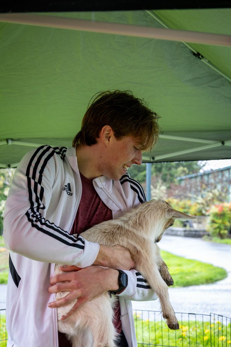 GOATs + students = stress relief magic 🐐✨

Thanks to everyone who came to our Goat Therapy event during Wellness Week!
We were glad to see cuddles, smiles, and goat vibes all around♥️

#WSUV #GoatTherapy #StressRelief