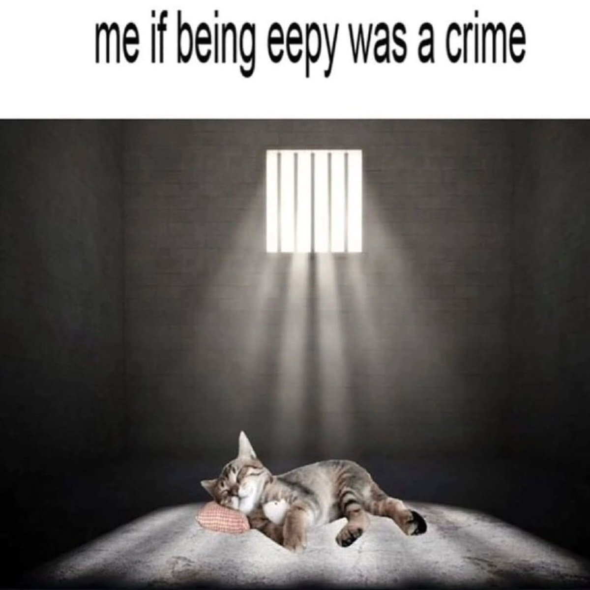 cheezus (@cheezus21) on Twitter photo 