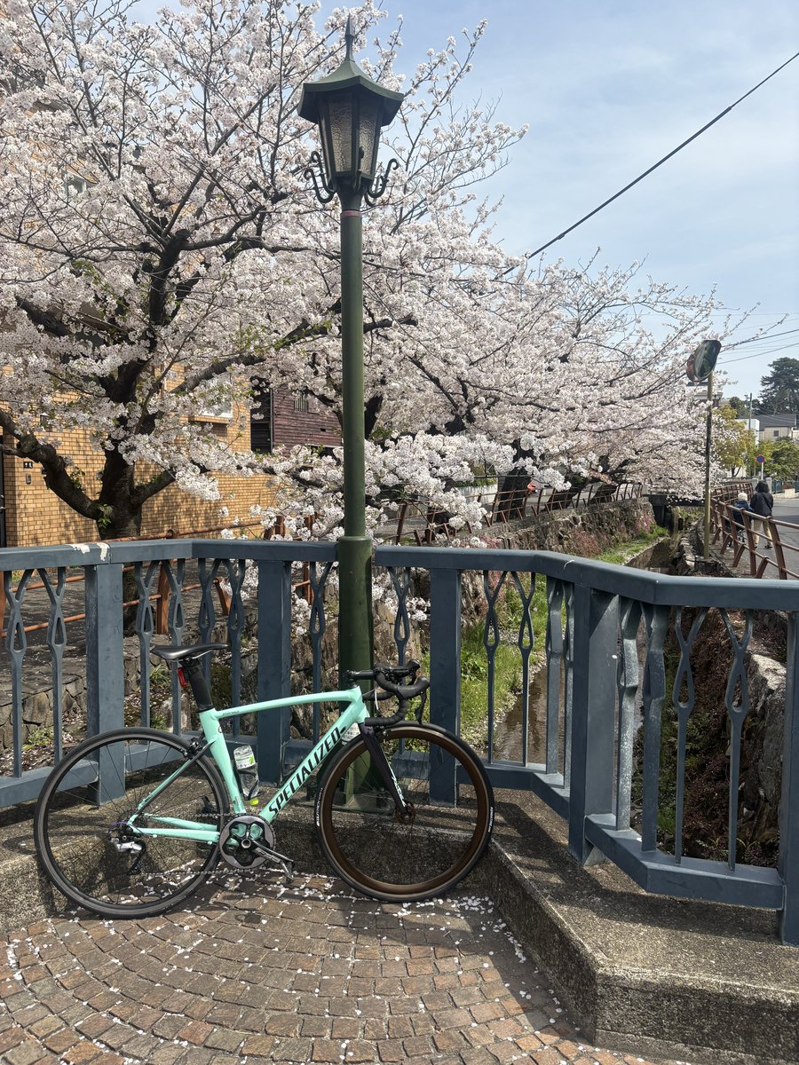 ALLEZmeansgo's tweet photo. 金使い荒すぎてジリ貧学生してたら、近々売却予定のおばあちゃんずカーがやって来て訳分からんDQNチューンをして純正戻ししてから都内に進出してまたジリ貧

何も進歩してない

 #元チャリクラのお前ら今何してるん https://t.co/VPu5gbcu3w