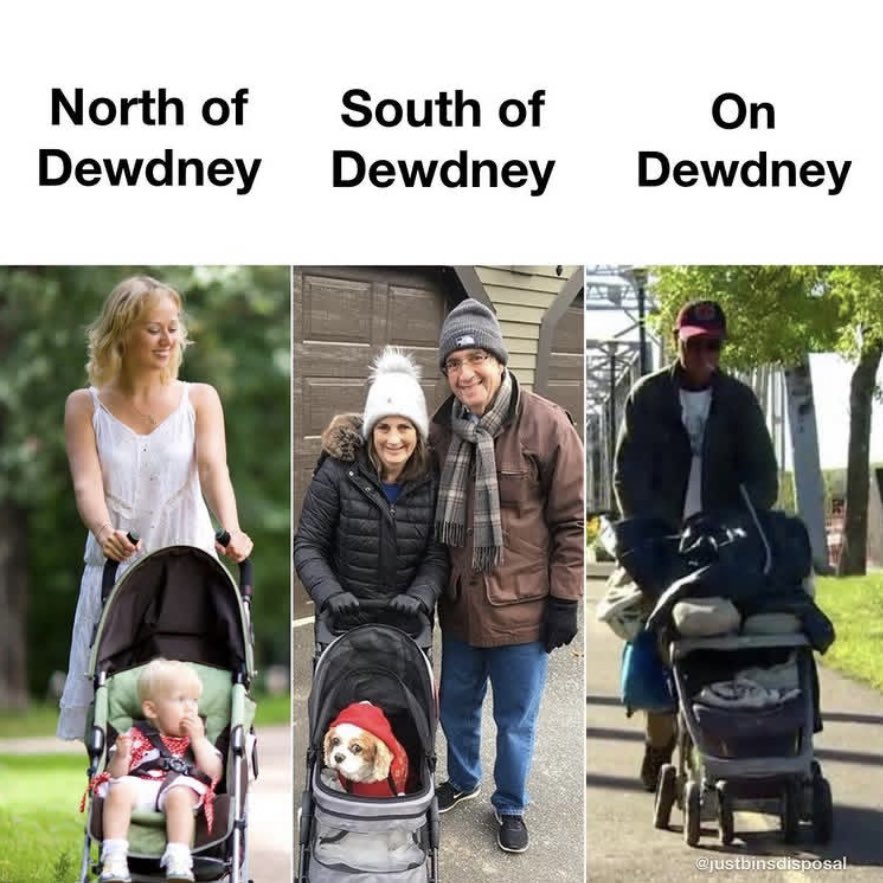 Just Bins tweet media