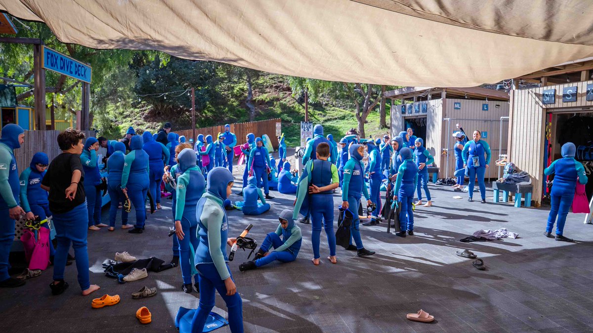 We are proud to offer full wetsuits and snorkel gear for our school groups and campers that come to our Island facilities. This includes a 3 piece wetsuit with hood and booties, snorkel, mask and for you extremers, weightbelts! Now lets dive :)