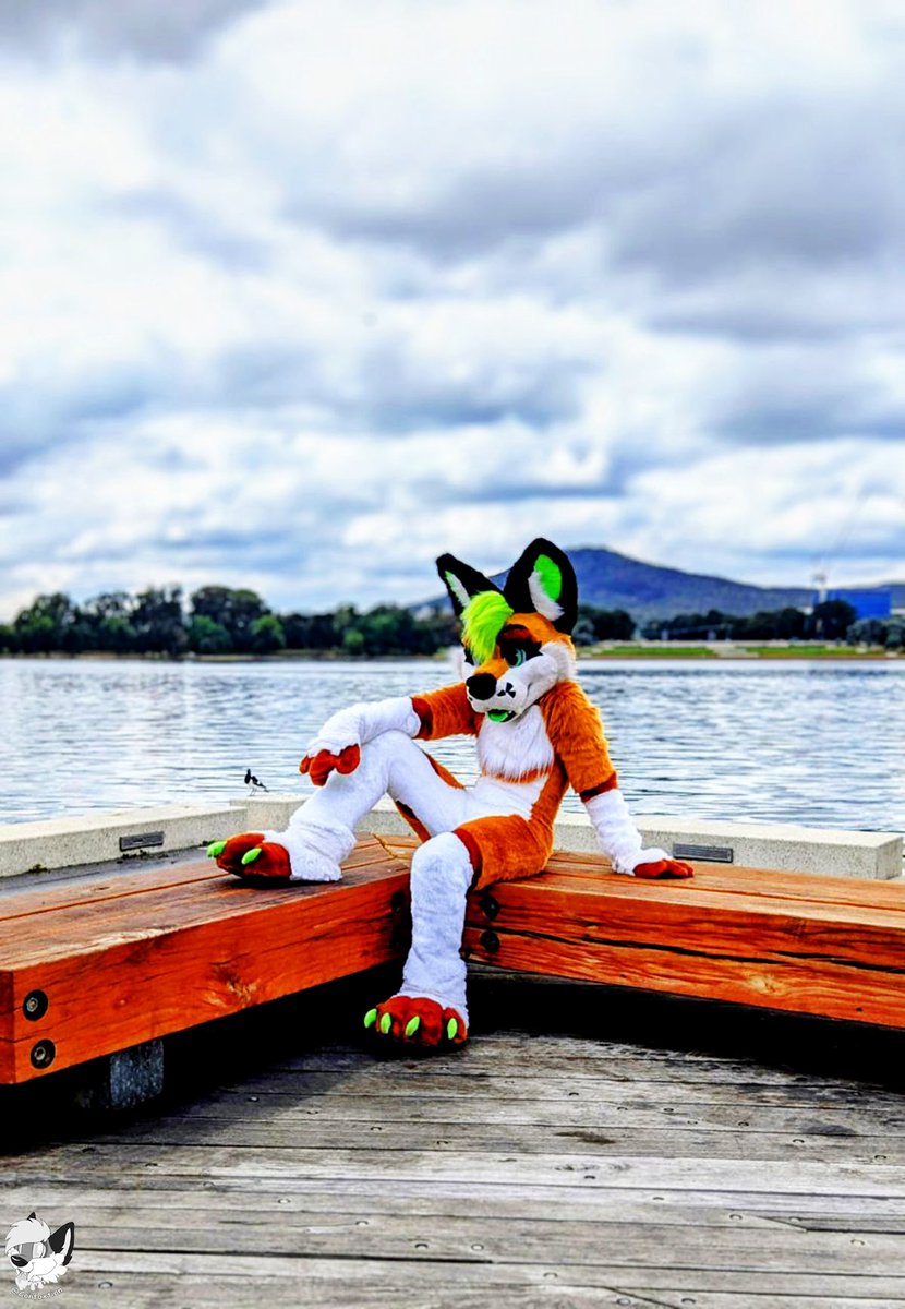 💥 ˗ˏˋConf0w0xtion´ˎ˗ 💥 🔜 ECB tweet media