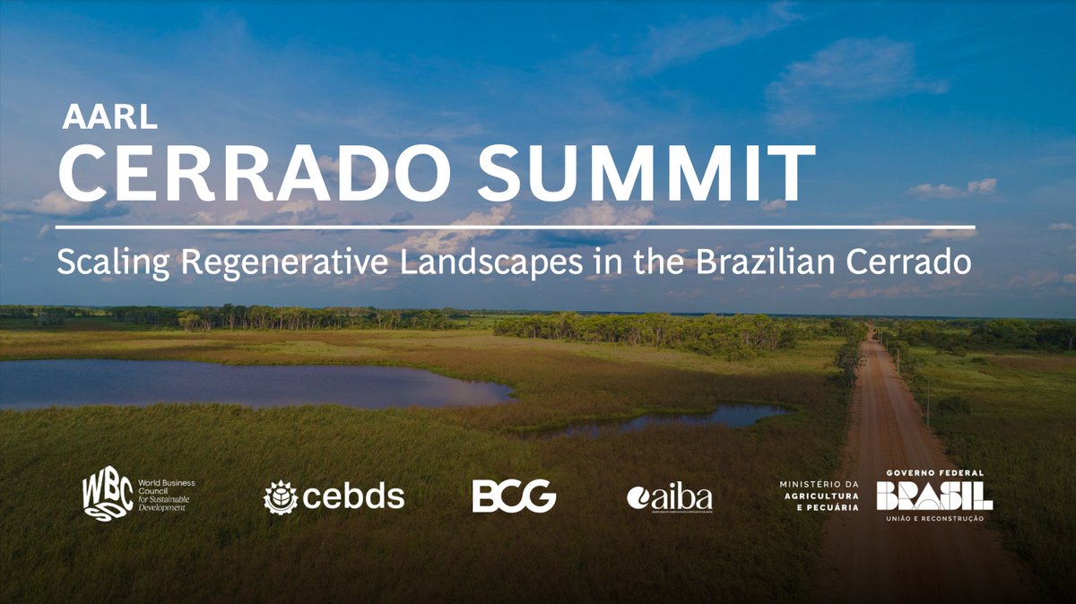 Ambition Loop tweet media