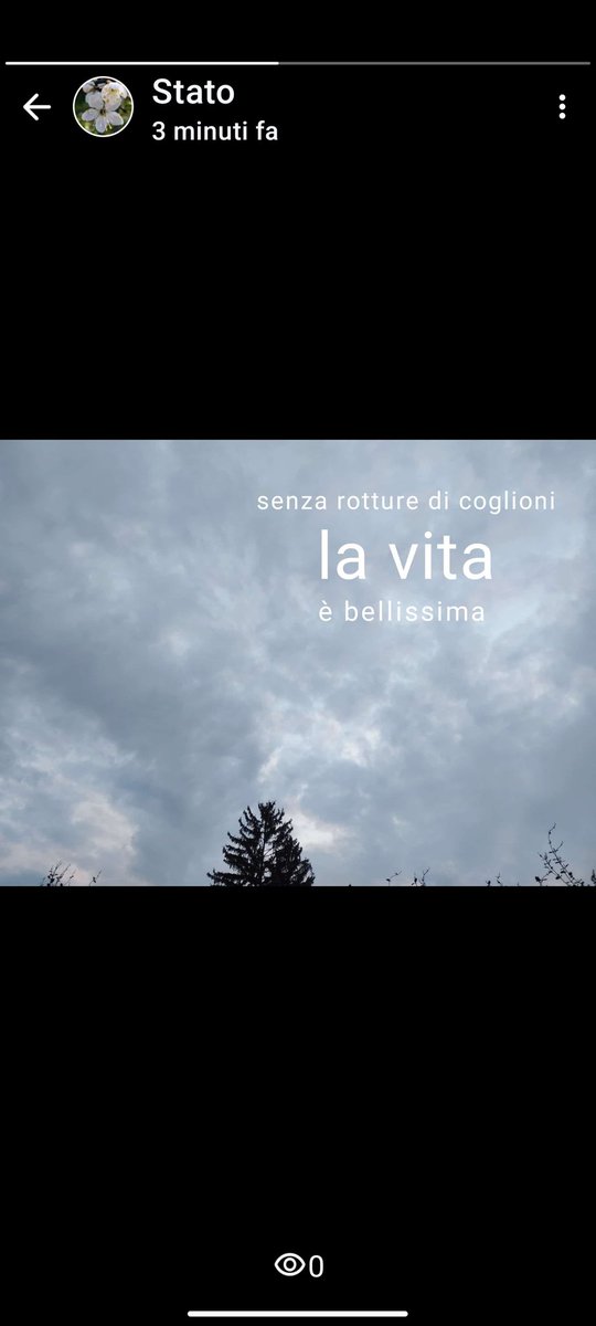 Consiglio: nei vostri CV non mettete "Ricercabile" , può succedere che una ditta di merda vi faccia promesse che poi non mantiene.
...poi sono rotture di coglioni.