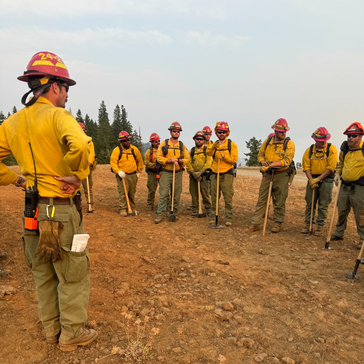 BIA Forestry and Wildland Fire Management tweet media